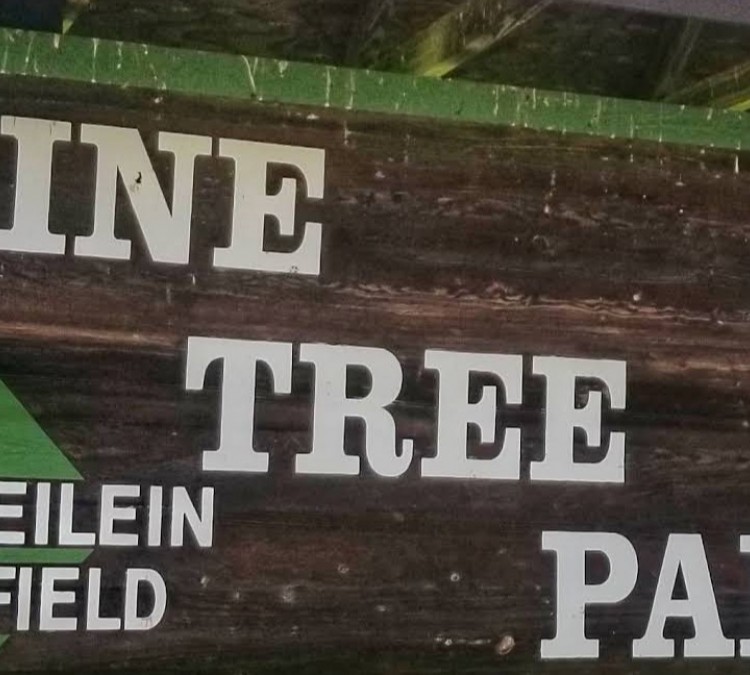 Pine Tree Park (Alden,&nbspNY)